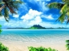 Tropical Beach