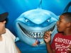 Green Screen Picture 1
